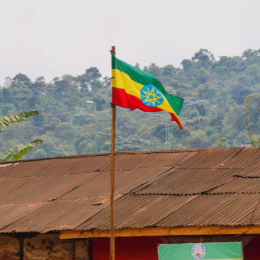 ETHIOPIA TWIN BOX - Ethiopian flag waving against a natural backdrop.