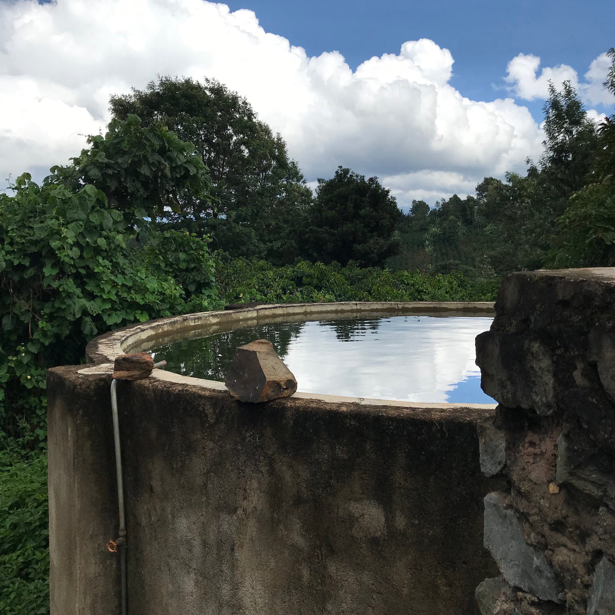 Cistern with water surrounded by greenery under a cloudy sky