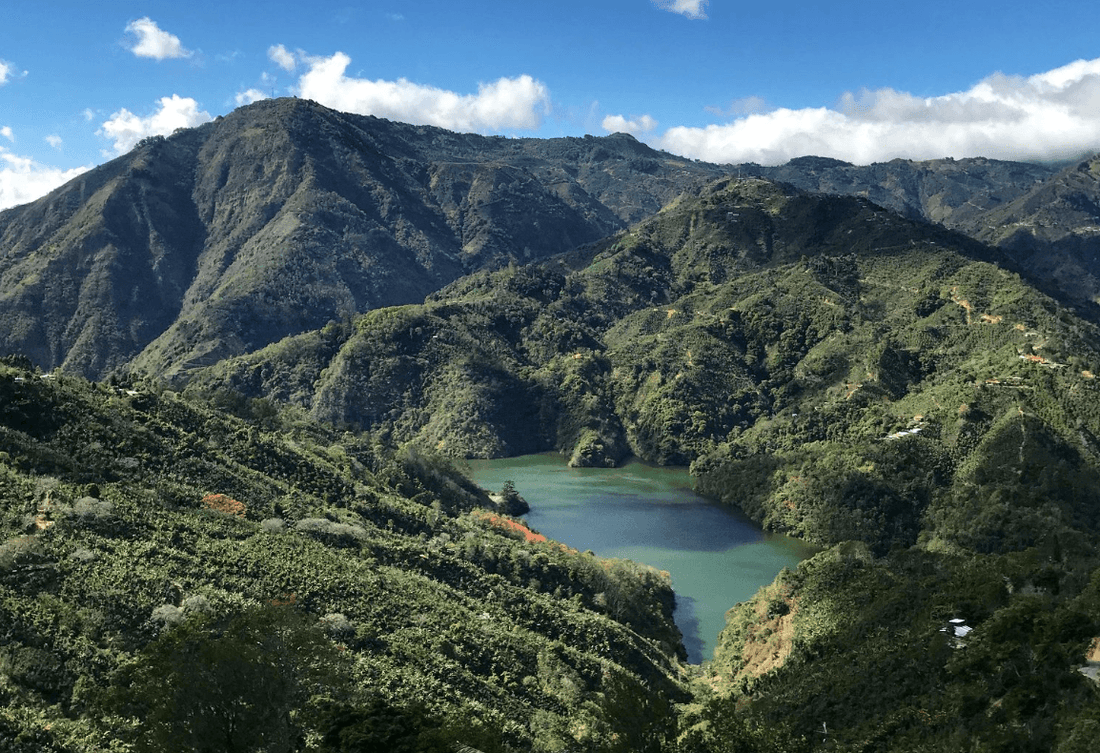 Anaerobic Processing in Costa Rica - THE BARN Coffee Roasters Berlin