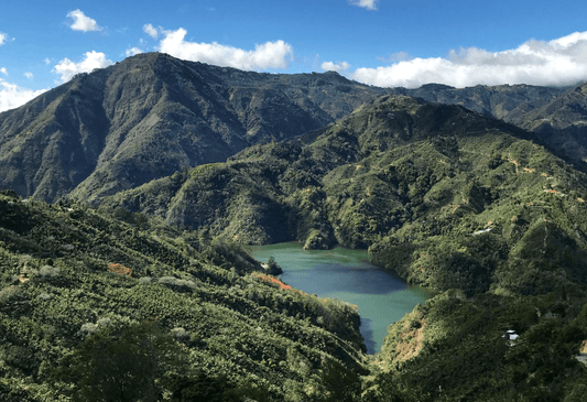 Anaerobic Processing in Costa Rica - THE BARN Coffee Roasters Berlin