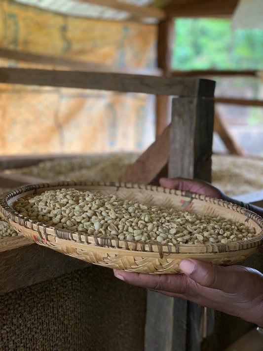 Kenya Update - THE BARN Coffee Roasters Berlin