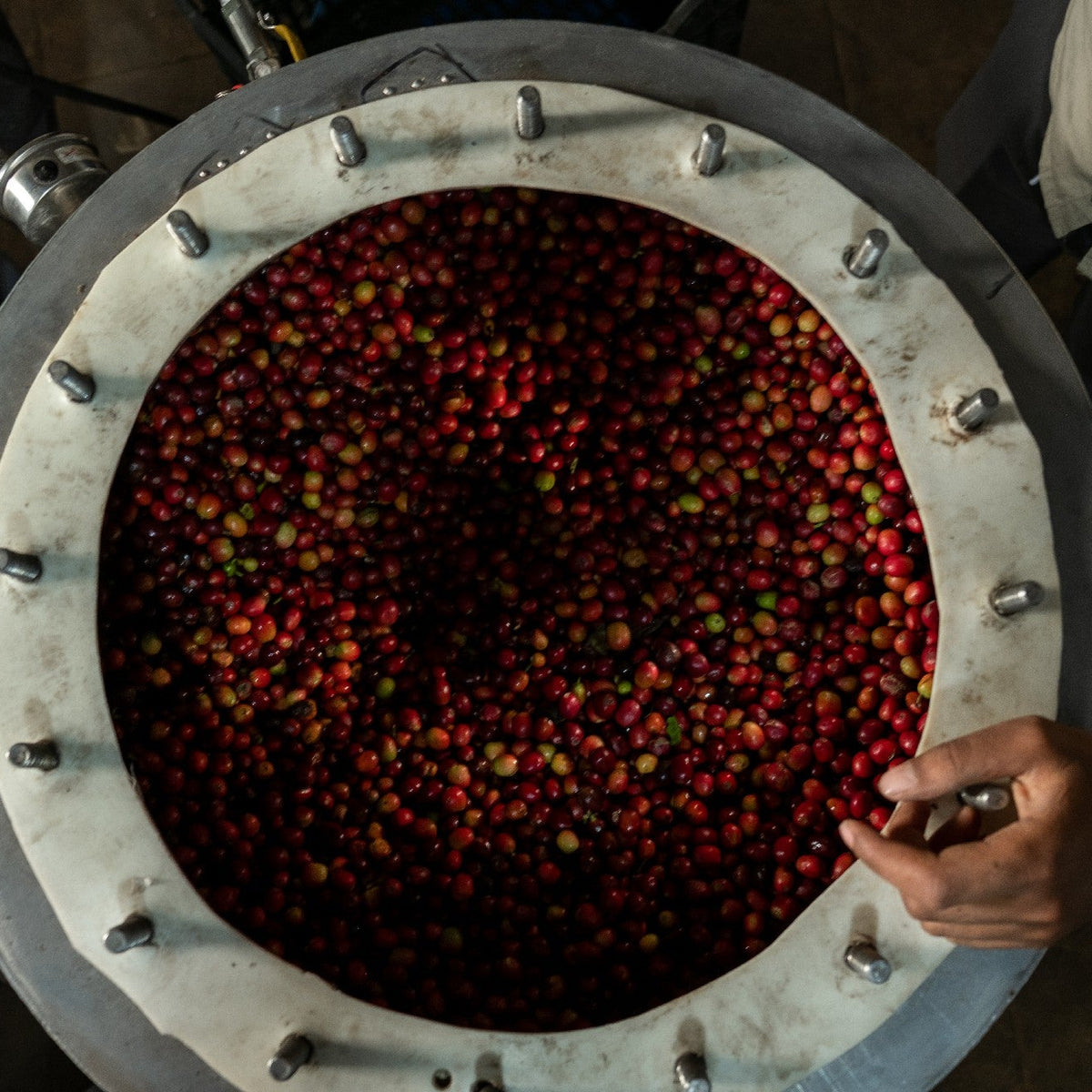 YEMEN ALCHEMY