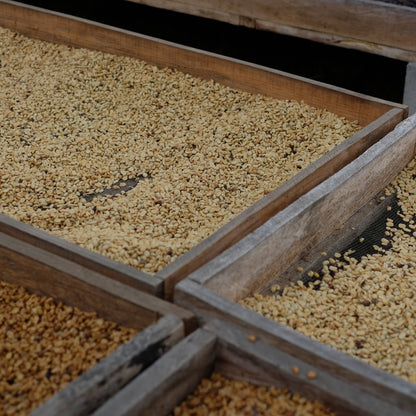 Close-up of wooden trays with coffee inside