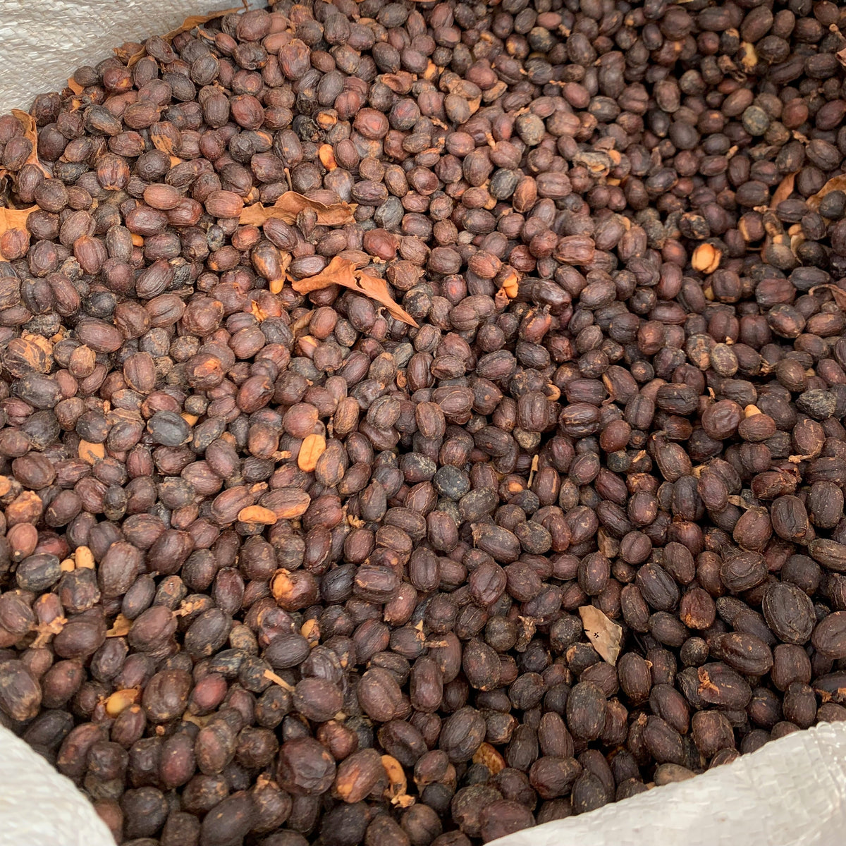 Close-up of brown coffee seeds or pellets in a bag