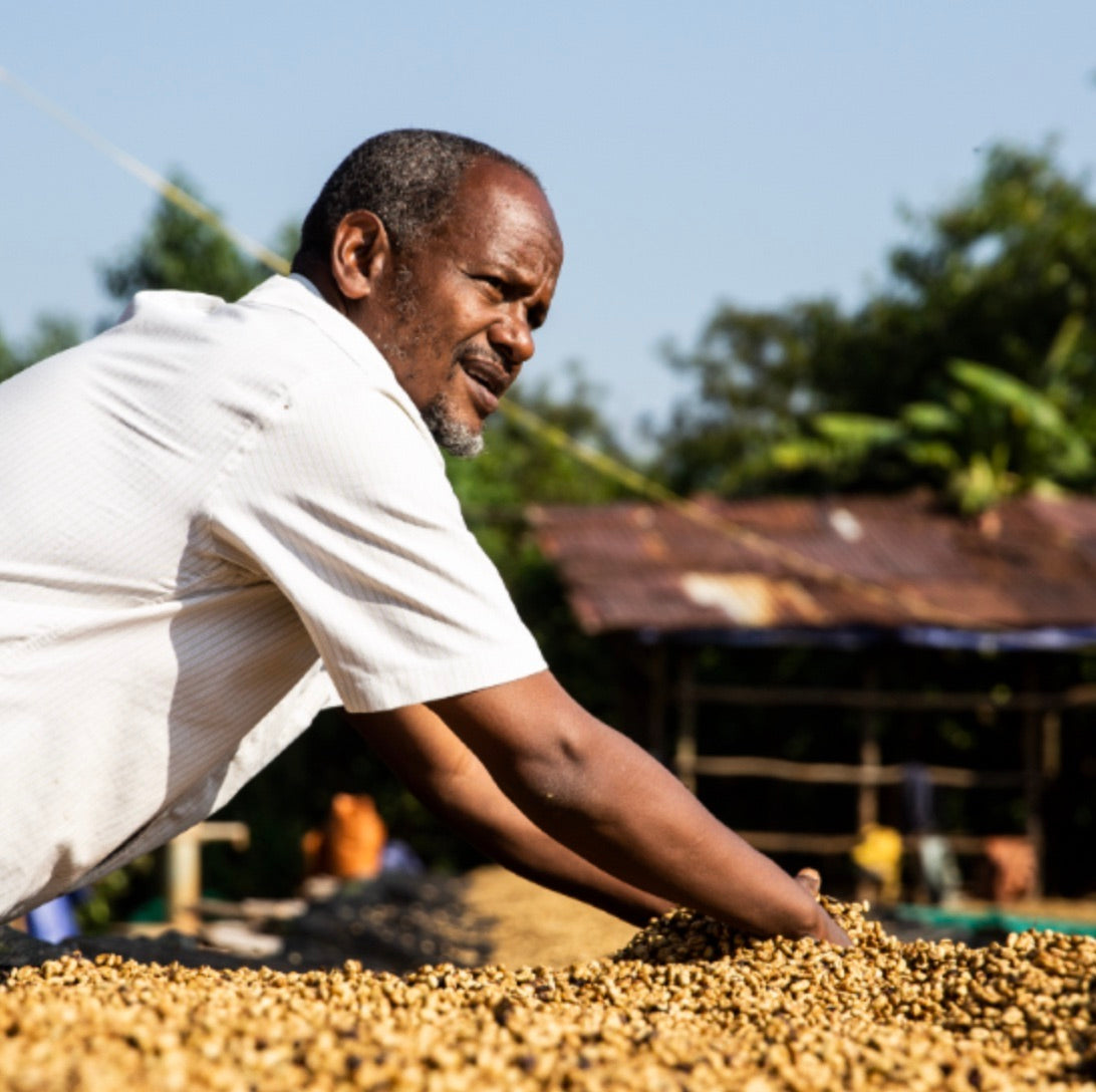 Mustafa_Mohamed_Ali sorting coffee beans outdoors with a rustic setting