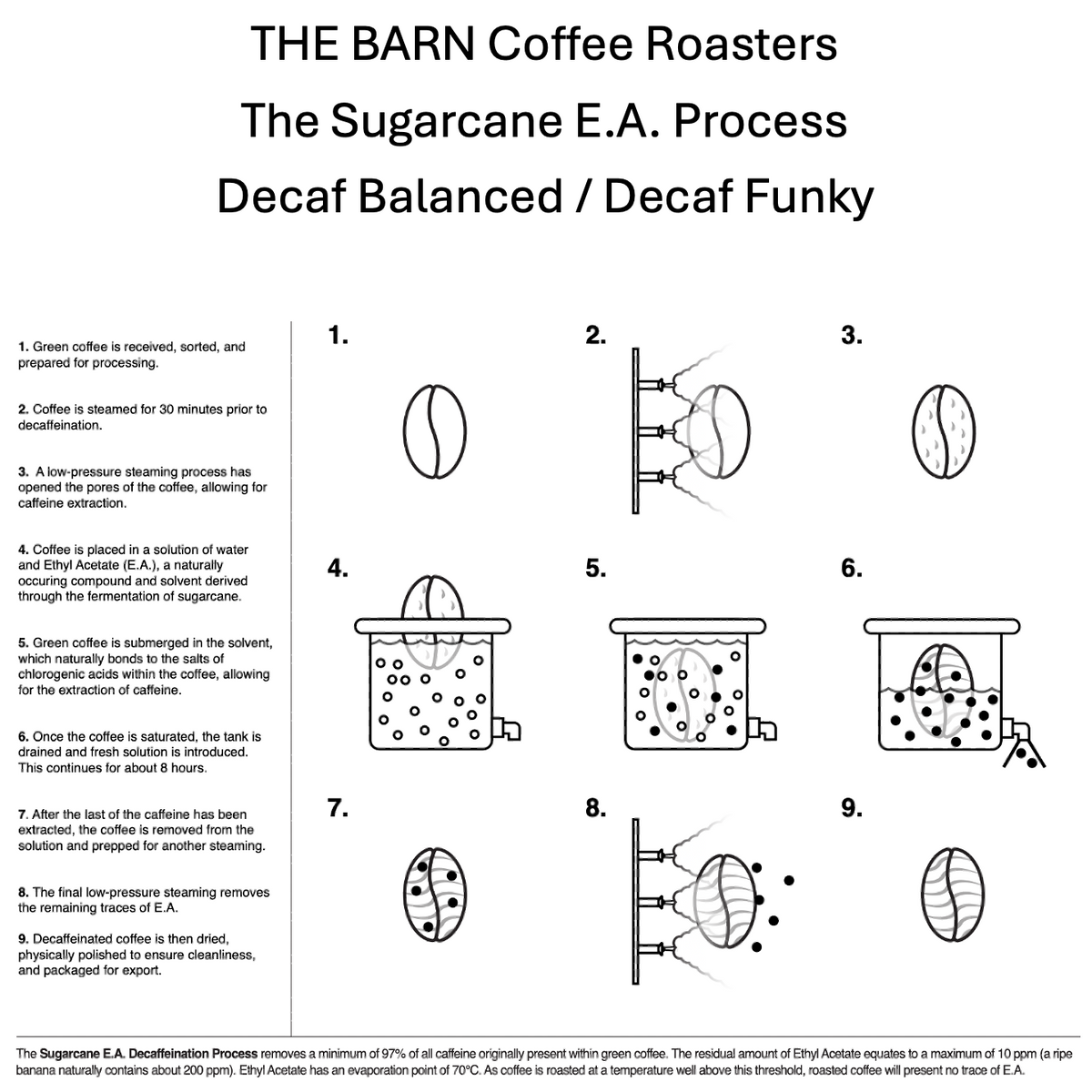 The Barn Coffee Roasters process diagram for Decaf Funky and Decaf Balanced using Sugarcane E.A. process.