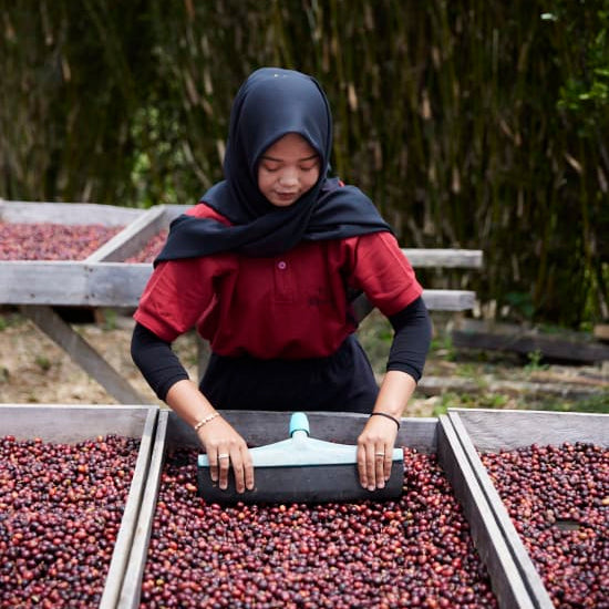 ASMAN GAYO