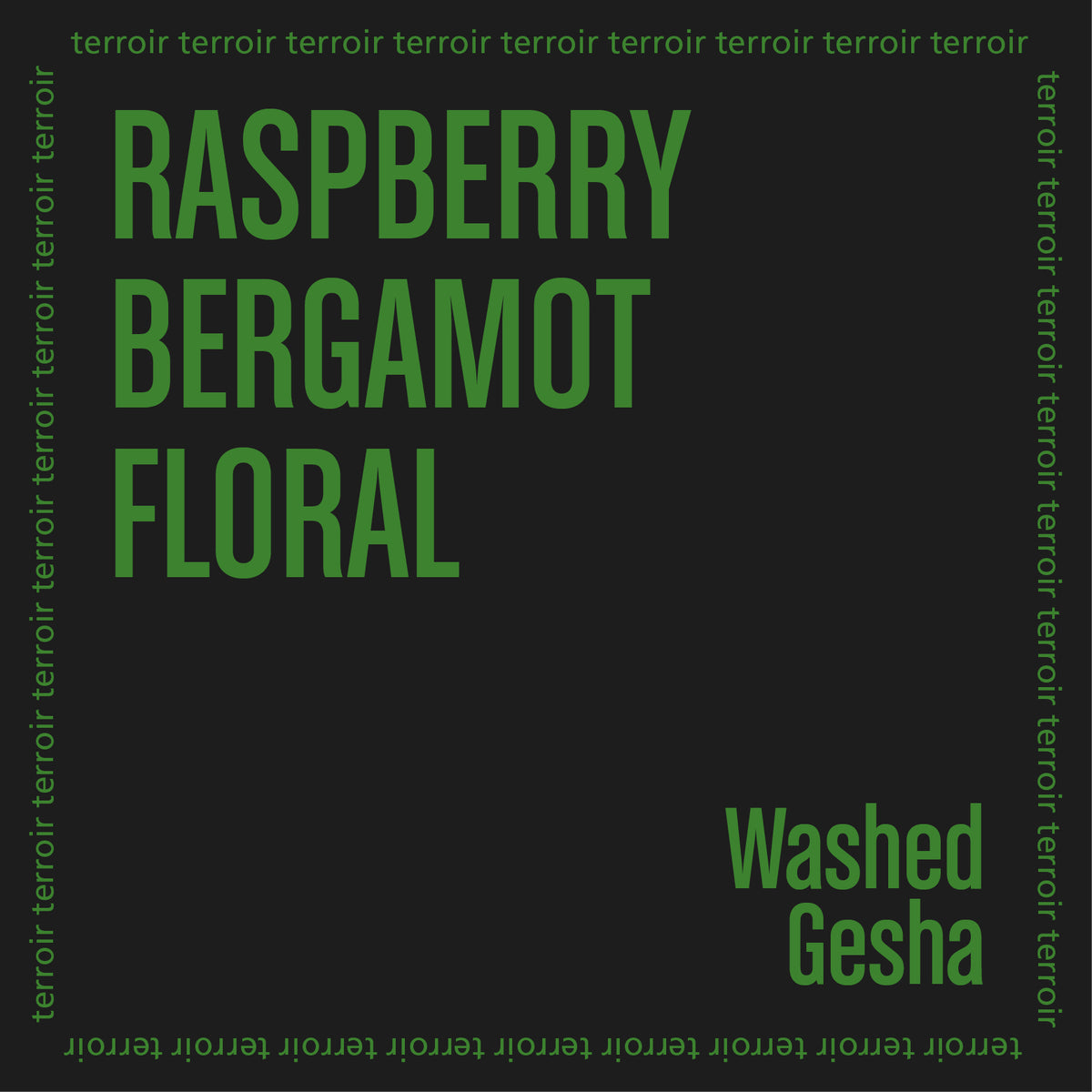 FINCA SOPHIA GESHA coffee label featuring raspberry, bergamot, and floral notes with washed Gesha style.
