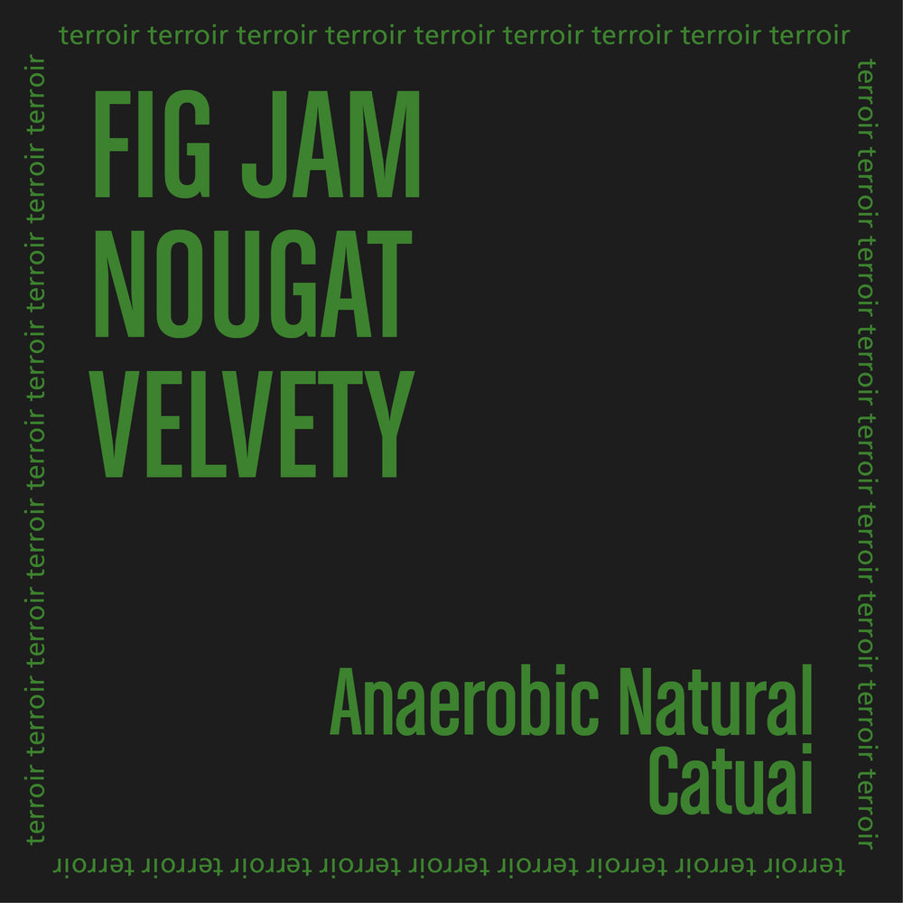 IVAN DOS SANTOS ANAEROBIC featuring notes of fig jam, nougat, and a velvety texture.