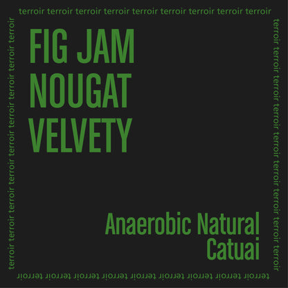 IVAN DOS SANTOS ANAEROBIC featuring notes of fig jam, nougat, and a velvety texture.