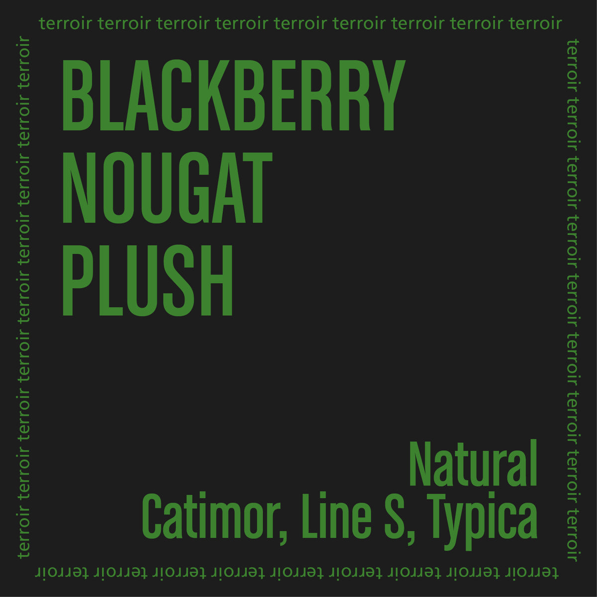 Taste notes on a black background with 'Blackberry Nougat Plush' and 'Catimor, Line S, Typica' in green.