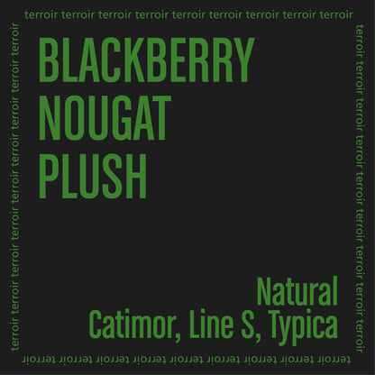 Taste notes on a black background with 'Blackberry Nougat Plush' and 'Catimor, Line S, Typica' in green.
