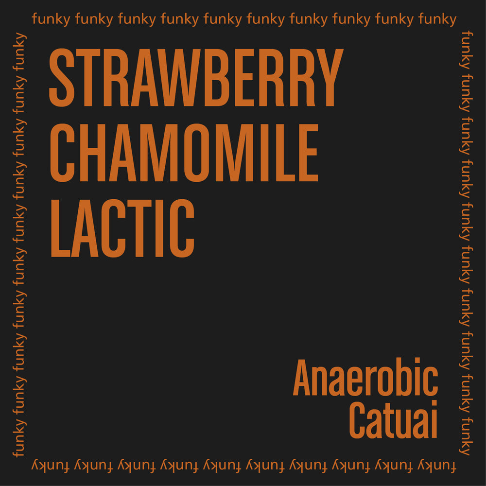 VANESSA MORENO coffee featuring strawberry chamomile lactic notes in a funky design.